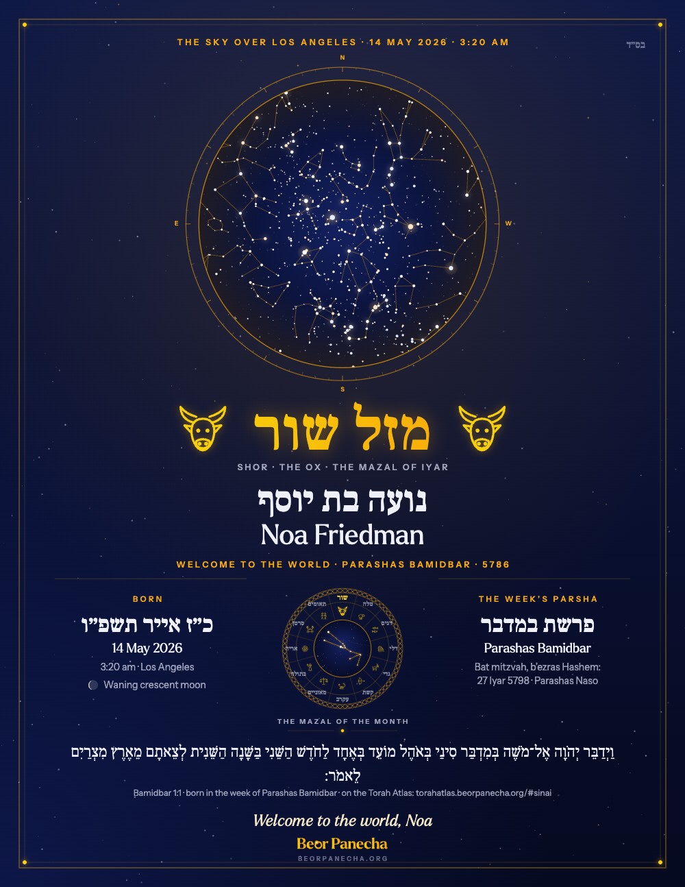 דוגמה לפוסטר שמיים לתינוק חדש